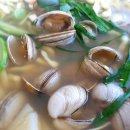 서래애물총칼국수 이미지