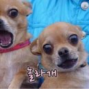 핸드인테리어 이미지