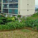 현암3길 이미지