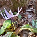 푸른정비 이미지