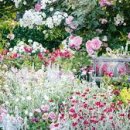 화성센트럴파크 도서관 이미지