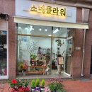 소네플라워 - 은평구 통일로90길 22-1 | 소네플라워