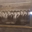 선데이 이미지