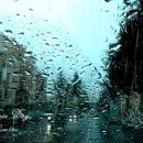 비오는날 이미지 모음 GIF 이미지