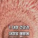 종심이네