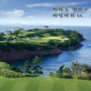 파인비치 이미지