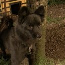 서연식당 이미지