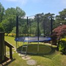 산삼꽃피는마을 이미지