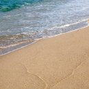 강릉포레스트 이미지