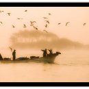 어부의노래 이미지