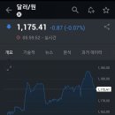 서프라이즈시티