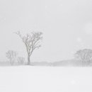 오늘, 제주 이미지