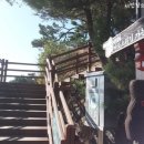 파도대게 이미지