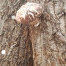 천공농장 이미지