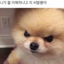 나도 이미지