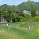 3719 이뉴스투데이