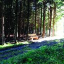 종교단체 자연장지 이미지