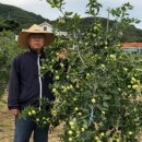 다하누 농장 이미지