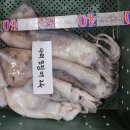 9월29일.참돔,삼치,먹갈치,병어,오도리,박대,눈뽈,특大오징어,선어낙지,잡어,건조파조기 이미지