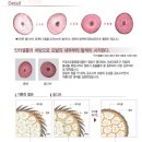 리엘헤어 - 전주시 완산구 천잠로 559 | 리엘헤어