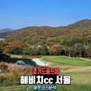 해비치cc 서울 남양주 아웃코스 분석