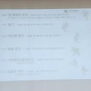 치매예방관리사 양성과정 이미지