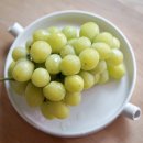 이영우농장 이미지