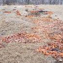 오두막민박 이미지