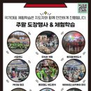 용인대국가대표사랑태권도 네이버블로그
