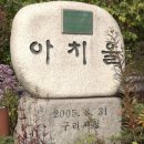 미수로 땅집고