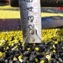 학천초등학교 이미지