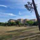 고양밥할머니공원 이미지