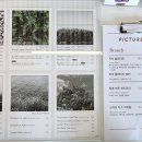 픽쳐레스크 이미지