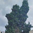 봉화3길 이미지