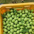 예하지마을 이미지