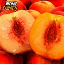 [G마켓] 초고당도 햇 복숭아 4kg 딱딱이 말랑이 달콤쫀득 털복숭아 혼합과 경북 - 13,590원 이미지
