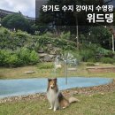 위드댕
