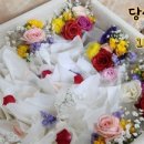 곁애 이미지