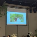 식전영상 파스텔무비 간편한 셀프제작 후기