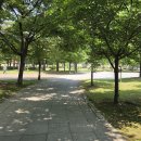 송도 해돋이공원 이미지