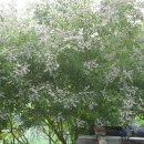 진식농장 이미지