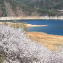 *거창~덕천서원,임블리마을 고령~도진리 복사꽃 마을 ,용원정 ^^ * 이미지
