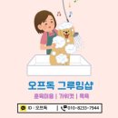 오프독 반려견 종합교육문화센터 | 양산 애견호텔, 애견유치원, 애견놀이방 강력추천 찐후기