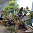 예봉농장 이미지