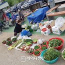 삼척번개시장 이미지