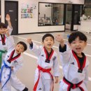 마루태권도 이미지