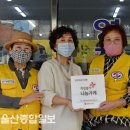 영진타올