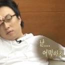 전국도감완성