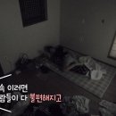 여왕벌민박 이미지