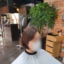 브라운디자인 네이버블로그
